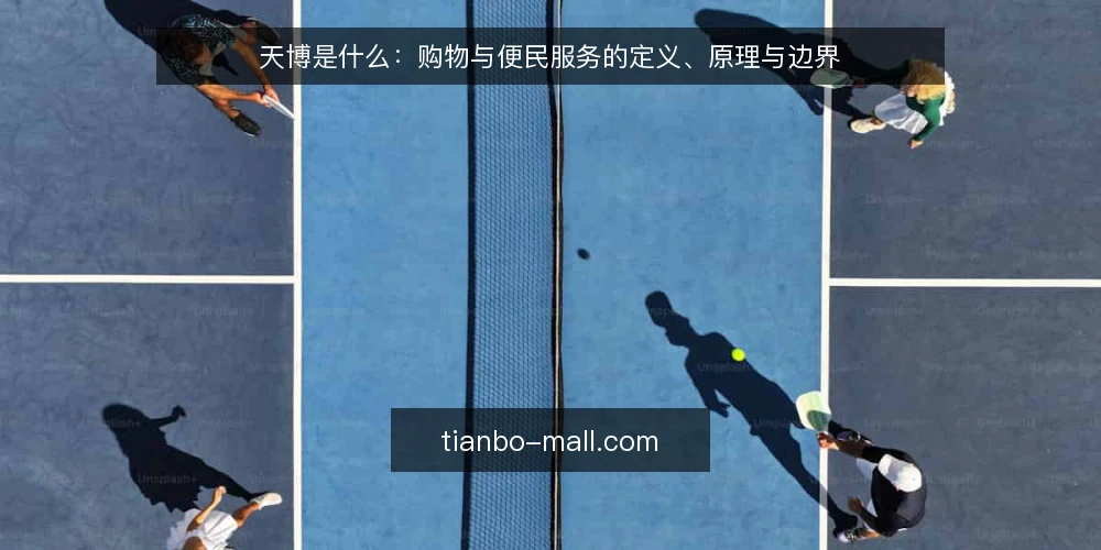 天博是什么:购物与便民服务的定义、原理与边界 — 理解天博:定义与核心机制 配图