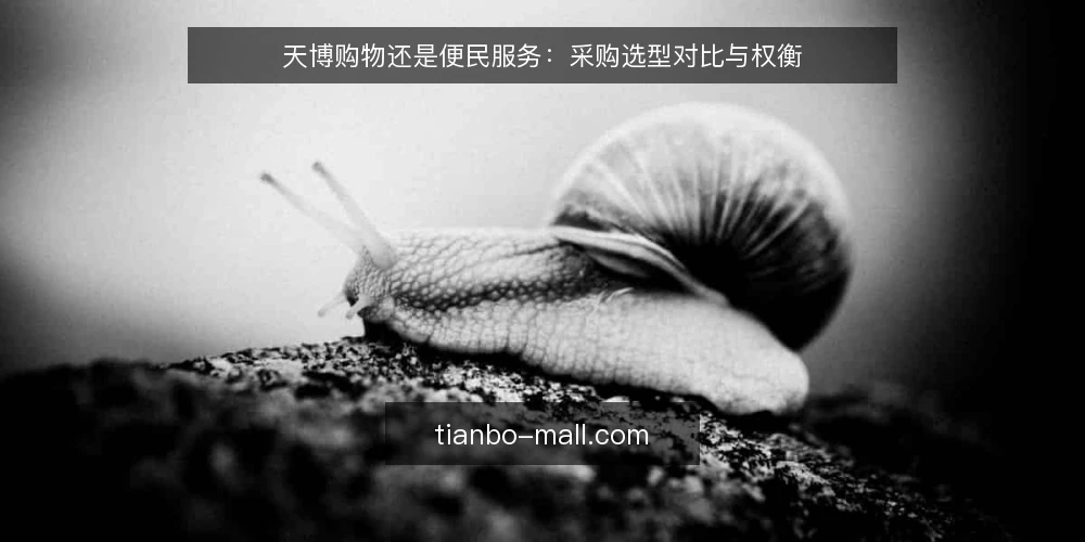 天博购物还是便民服务：采购选型对比与权衡 — 需求定义：先明确你要解决什么 配图
