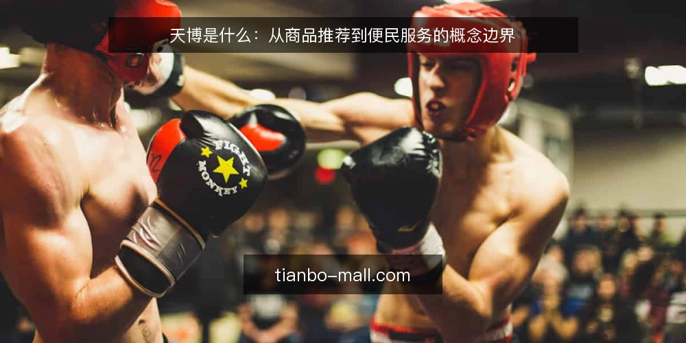天博是什么：从商品推荐到便民服务的概念边界 — 天博是什么：先把定义说清楚 配图