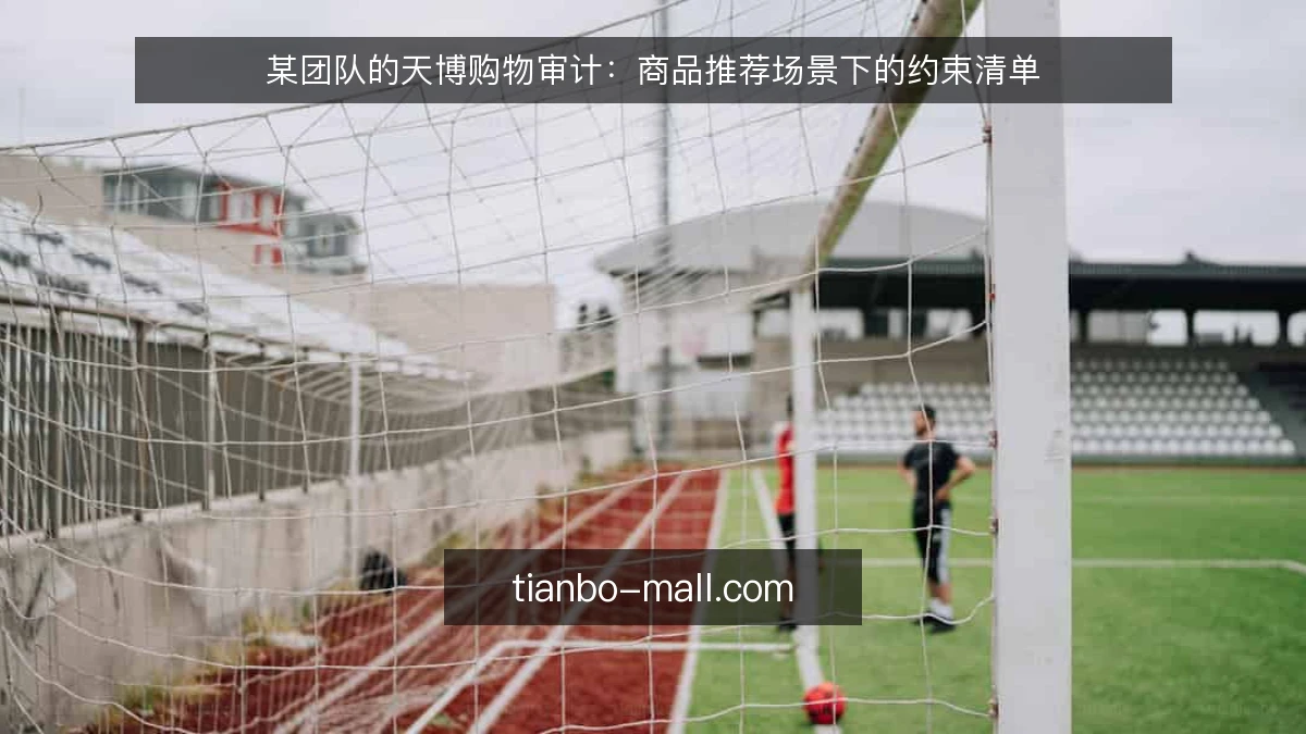 某团队的天博购物审计：商品推荐场景下的约束清单